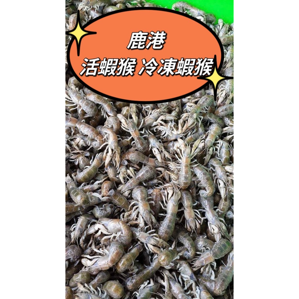 🌈當地特產 活蝦猴 冷凍蝦猴  鹿港美食 釣魚必殺餌 魚餌🌈鹿港阿道代購團隊