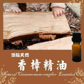 香樟精油  正樟木精油 頂級天然單方精油 草本提煉精華 Cinnamomum campho