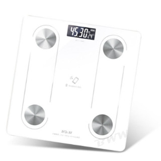 NDr.AV 聖岡科技 智慧藍芽 體重計 BT-102i 0.2~180kg