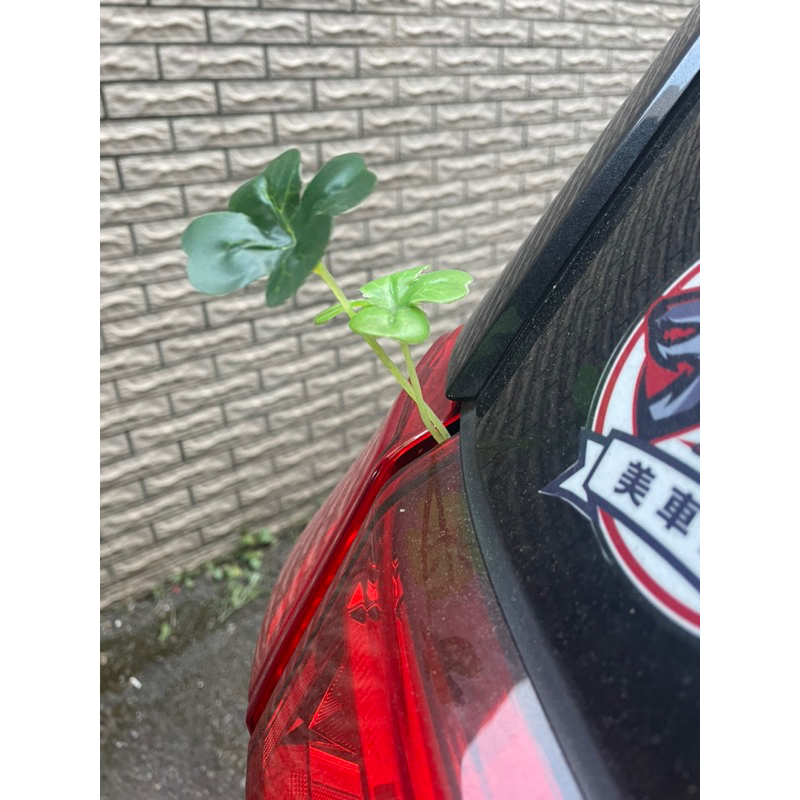 幸運草 四葉草 非小草束帶 裝飾 長草 手工 原創 獨家 創意 非irent