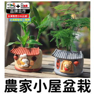 WINE臺灣惟恩 微景觀 農家小屋盆栽 盆栽 花盆 多肉 盆栽 造景 花瓶 園藝