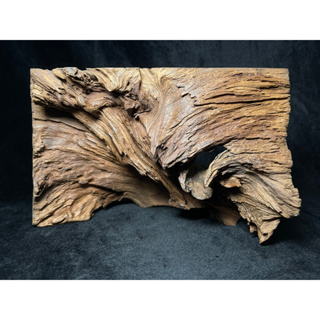 紅豆杉 風化 天雕 根料 擺件 古樸 原木 藝術 裝飾 檜木 肖楠 花器 盆栽 植物 多肉 水晶 蕨類 DIY