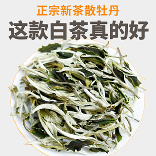福鼎白茶白牡丹茶葉 2024新茶高山日曬老樹白茶500g散裝
