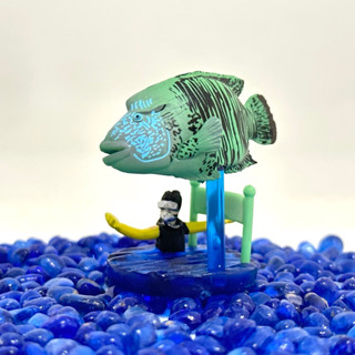 【現貨/正版/絕版品/2手】水族館限定扭蛋——美人魚