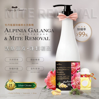 現貨👉康朵 洗髮精 洗髮乳 牡丹洗髮精 生薑洗髮乳 香水洗髮精 除蟎洗髮精 牡丹藍薑除蟎香水洗髮精 800ml 大容量