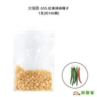 大包裝G55.紅美辣椒種子1克(約160顆) 中早熟品種 果型細長 連續結果力強 生長旺盛 產值高【綠藝家】