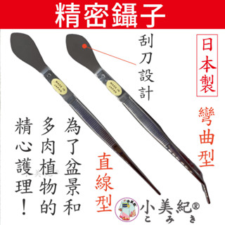 【小美紀】日本製 精密鑷子 多肉專用 (園藝工具) 小夾子 多肉植物 擺盆 阡插 五金工具 手工具 白鋼鑷子 園藝器具