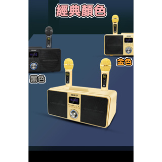 [臺灣現貨] SDRD SD-309 SD309藍牙音箱 家庭KTV K歌神器無線雙人伴唱藍牙喇叭SDRD貓頭鷹