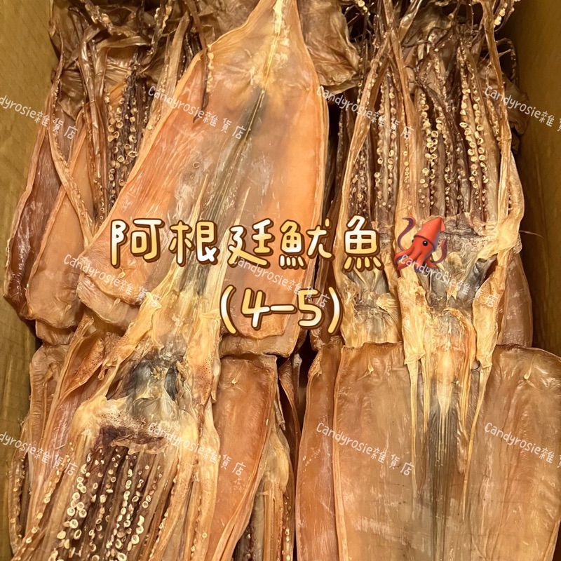 🇦🇷阿根廷魷魚🦑 4-5魷魚 乾魷魚 大隻魷魚 約120-150g / 尾