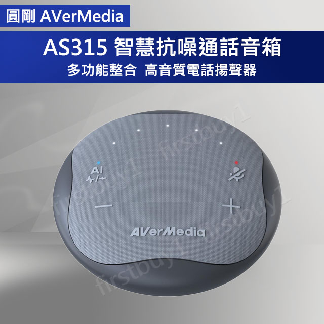 【優選】AVerMedia 圓剛 AS315 智慧抗噪通話音箱 揚聲器 Hub擴充器USB-C 含稅開發票 遠距教學辦公