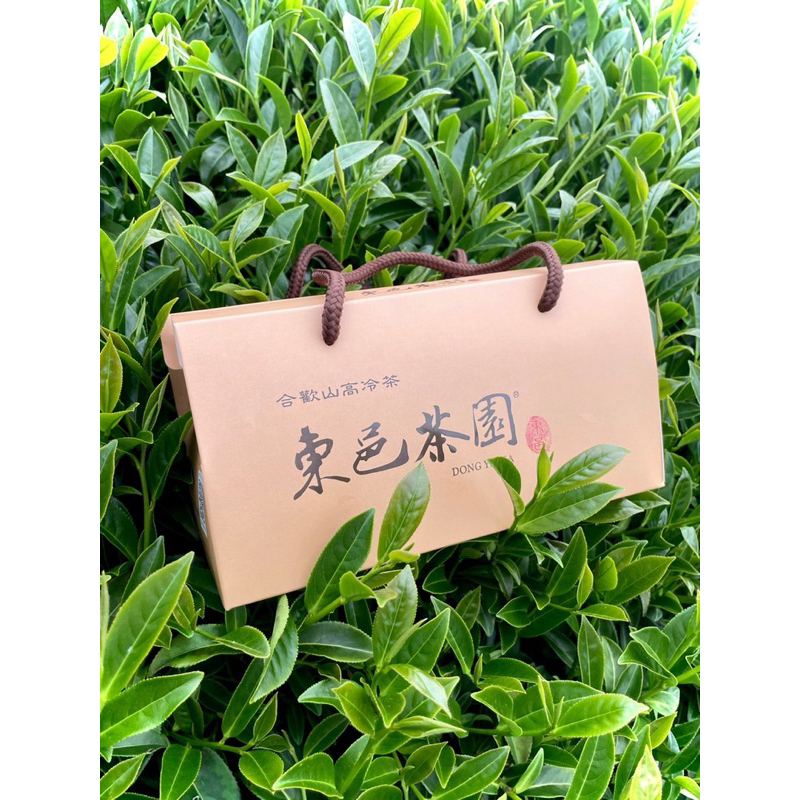 東邑茶園 小葉種頂級紅茶 茶包 合歡山/海拔2100公尺/紅茶