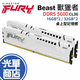 Kingston 金士頓 獸獵者 DDR5 5600 16G*2 32G*2 KF556C36BWEK2-32 -64