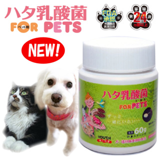 日本境內版 LCH 寵物 乳酸菌 60g 大罐 益生菌 貓 犬 用 乳酸菌 寵物 營養 補充