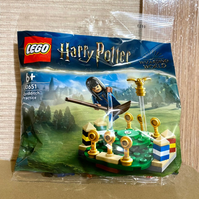 【全新現貨特價】LEGO 樂高 #30651 哈利波特 魁地奇訓練 Quidditch Practice 模型