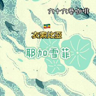 【六十六巷咖啡】衣索比亞｜耶加雪菲｜柯凱村｜天使藝伎｜果丁丁｜淺烘焙｜日曬｜咖啡豆｜耳掛包｜新鮮烘焙｜咖啡豆｜免運費
