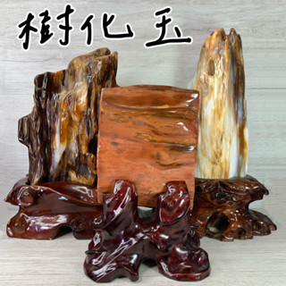 《晶爽水晶批發》精選 天然 樹化玉 木化玉 玉質化 玉化樹化玉擺件 天然有形 風水擺飾 附底座 ~ 062801