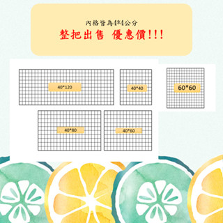 便宜!!! (現貨)批發價 網格 鐵網 佈置墻 牆壁裝飾 寵物網 鐵網片輕鋼架 網格網架 置物架 彩色網 塑膠網 平面網