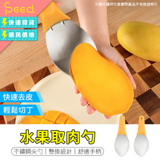 多功能水果取肉勺 芒果取肉器 水果切片器 水果挖勺 芒果切丁器 水果分割器 水果去皮器