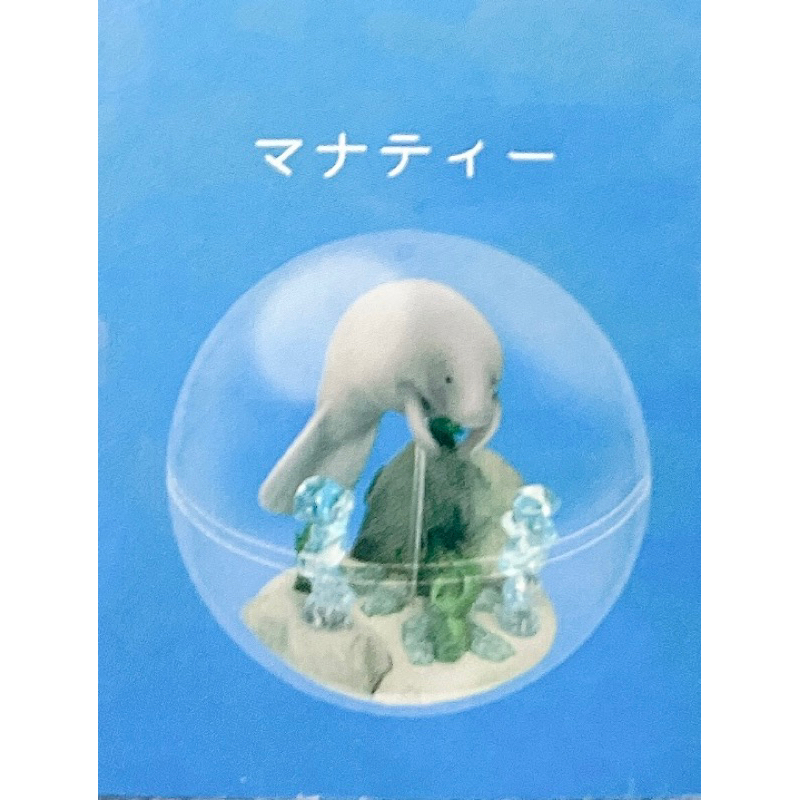 限定新版 日本 沖繩 美麗海水族館 大顆扭蛋 海牛 海獅
