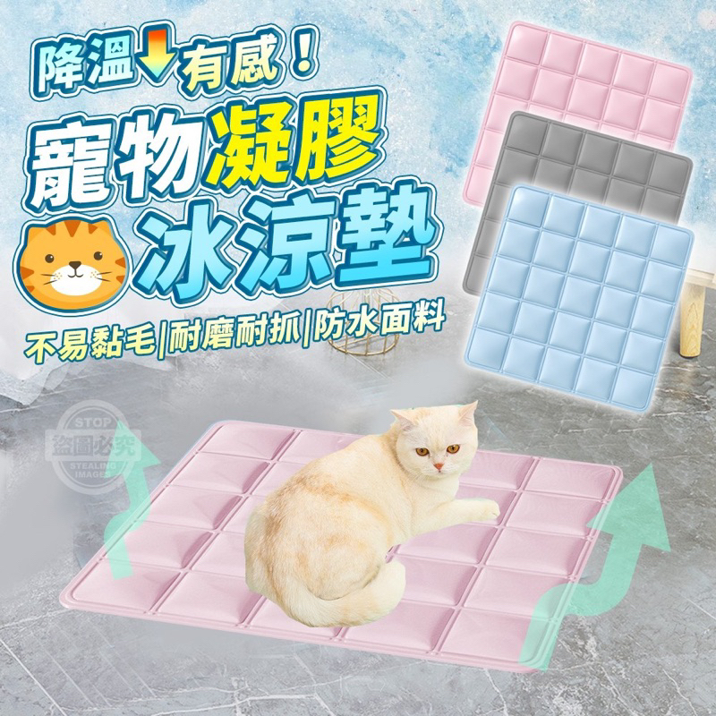 降溫有感！寵物凝膠冰涼墊 貓咪冰涼墊 冰涼坐墊