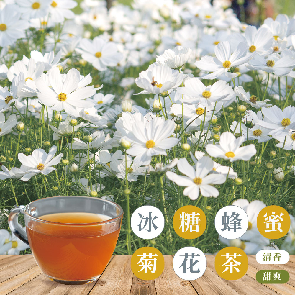 【大王牛肉】冰糖菊花茶磚(17g/顆) 黑糖磚/黑糖/沖泡飲品/飲料/茶磚