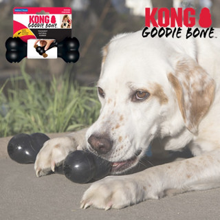 ❖三吉米熊❖【終極狗骨頭藏食玩具 | 美國KONG】GOODIE BONE橡膠玩具_抗憂鬱_益智_啃咬_磨牙_狗狗玩具