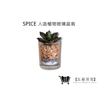 【SPICE】人造綠色植物-玻璃盆栽 多肉人造植物 免打理綠植 多肉擺飾 辦公室植栽 懶人 假盆栽｜五福居家生活館