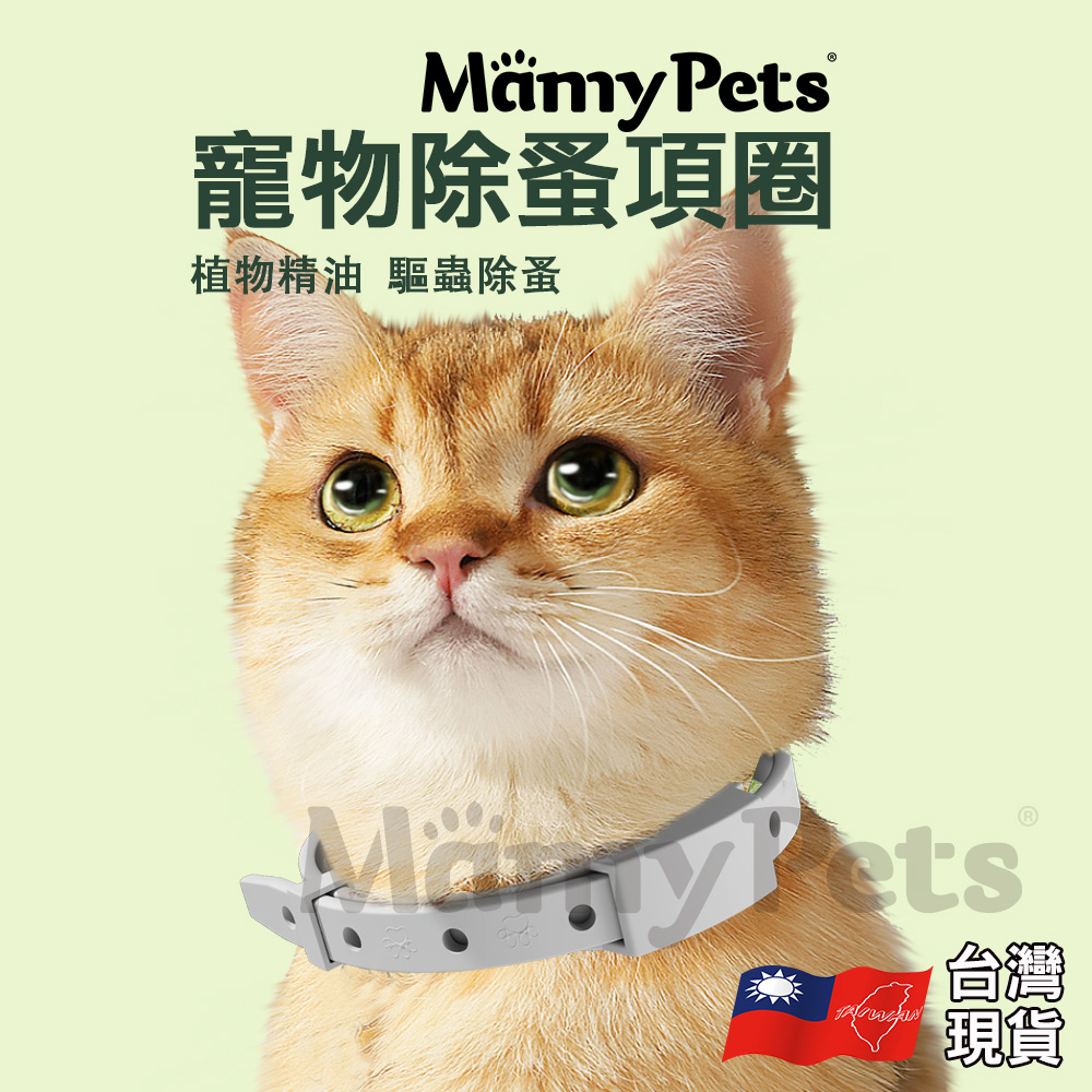 【🇹🇼超快嚴選】Ｍamy Pets 寵物防護除蚤項圈 跳蚤項圈 驅蟲項圈 跳蚤 貓防蚤項圈 寵物項圈 驅蚊項圈 防蚤除蚤