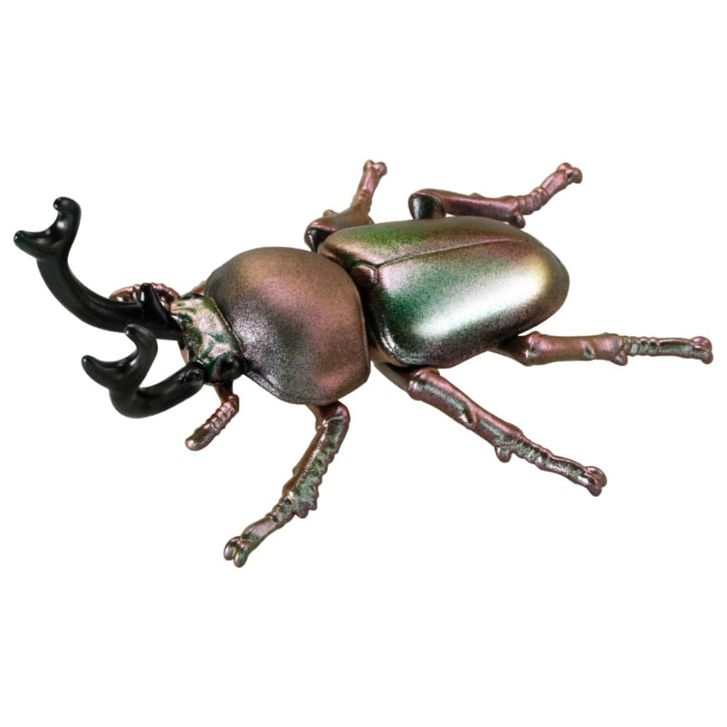 TOMY  多美動物園 ANIA 探索動物系列  AS-42 彩虹甲蟲  甲蟲模型  AN90853