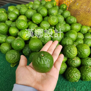 【漢娜°☆】老李-👍李阿嬤の香檬-馬蜂橙-馬瘋橙-泰國檸檬葉-家園自種-無農藥香檬-扁實檸檬-檸檬-香檬-有機檸檬-臺灣