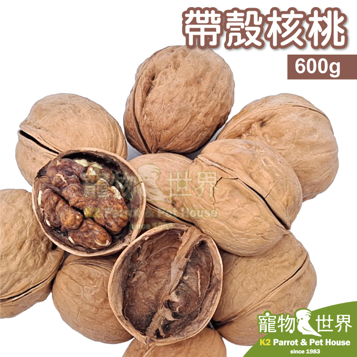 《寵物鳥世界》帶殼核桃 1斤/600g│無添加 鸚鵡鳥飼料 鳥點心 天然堅果 營養補充零食 YZ026