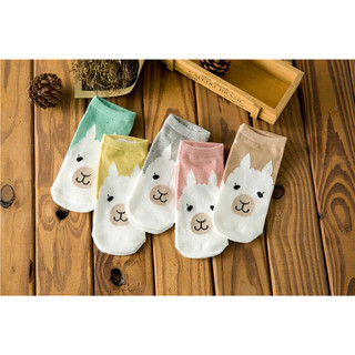 [COZY deer] 現貨 春夏 韓版可愛卡通 羊駝小動物 女船型襪 全棉短襪 襪子