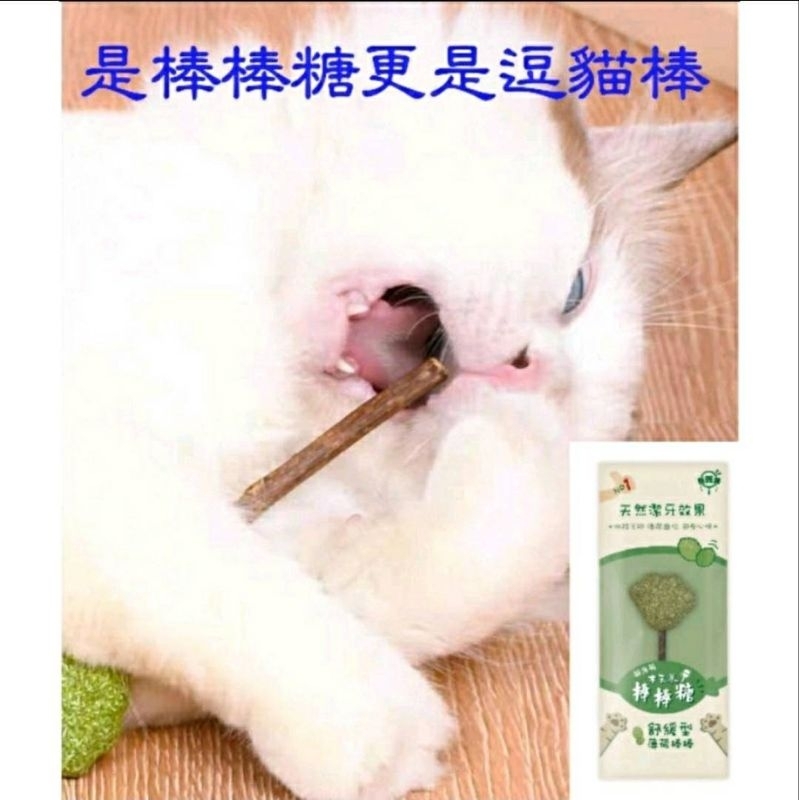 咚咚族貓薄荷木天蓼棒棒糖