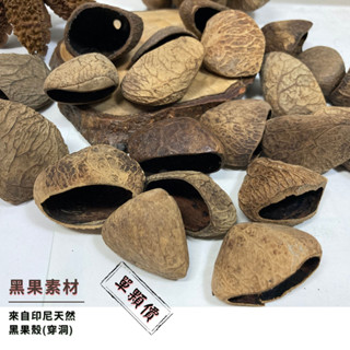【自然屋精品】 果殼 野豆 黑果果殼(已清除果肉) 果殼素材 天然果殼 手作材料 DIY素材 種子 果實 天然DIY材料