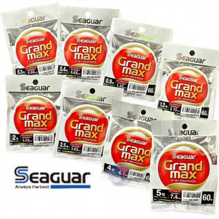 《Seaguar》GRANDMAX-60M(橘)卡夢線 碳纖線 中壢鴻海釣具館頂級子線 0.4-5.0