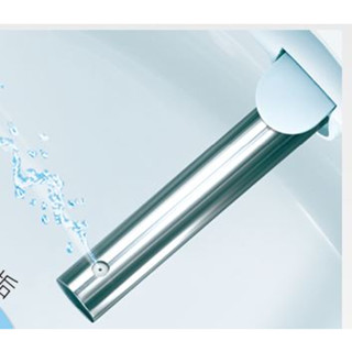 Panasonic國際牌 便座噴嘴組噴水組DL-PH10TWS、PH09TWW、PH20TWS、DL-WL20、RG30