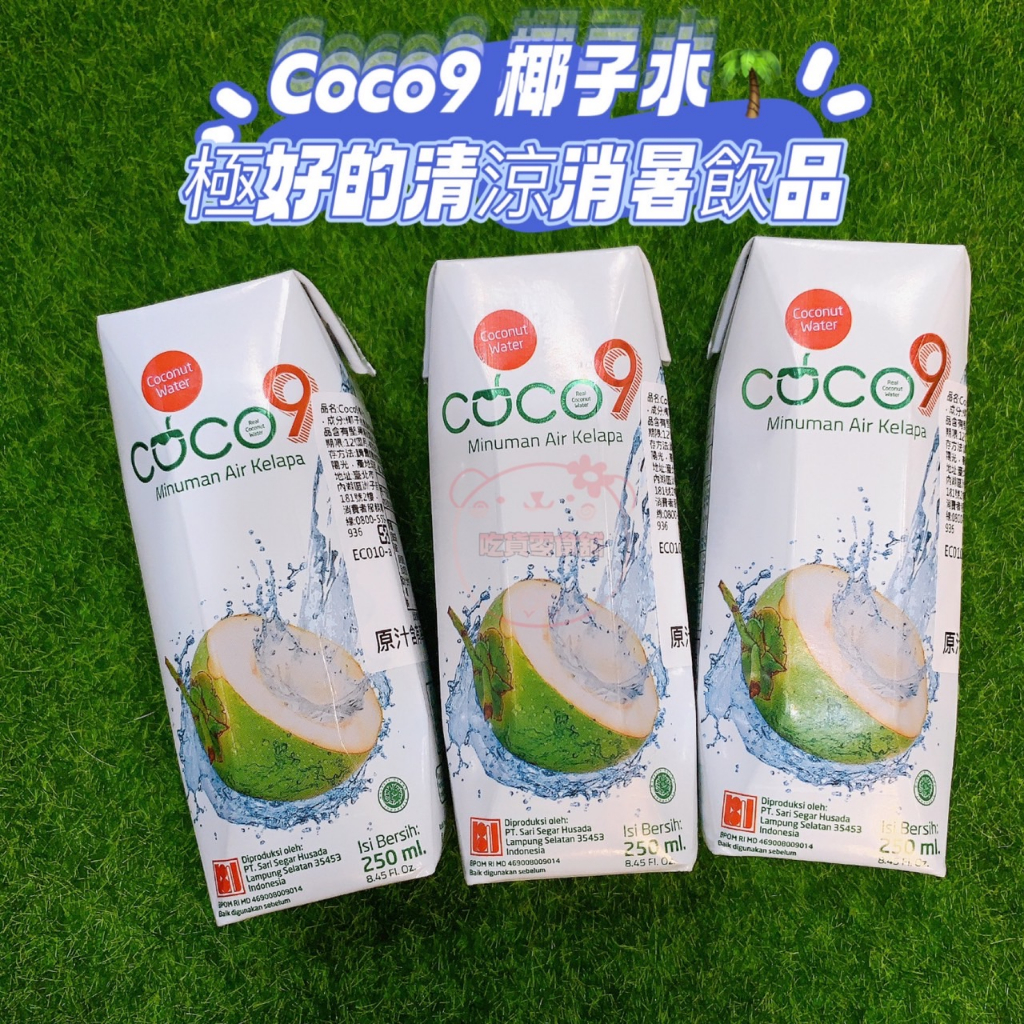 吃貨零食🍭│ 印尼 Coco9 椰子水 消暑 解渴 椰子 椰子汁 250ml