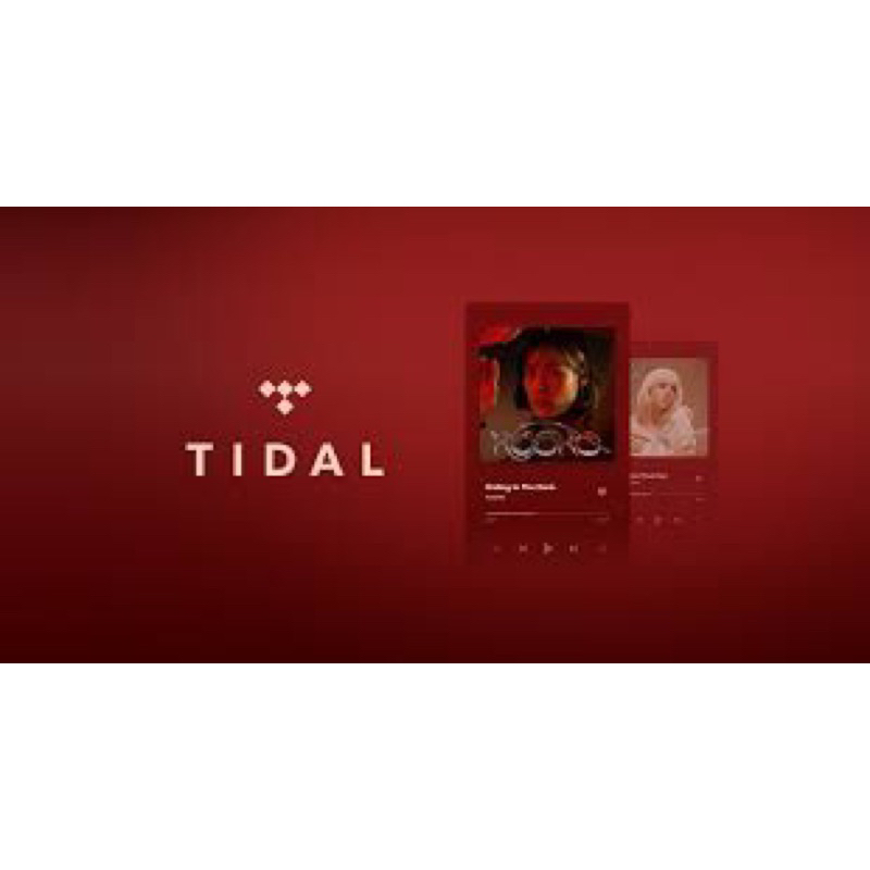 Tidal / Qobuz 群組 or 獨立帳號 詳情請看