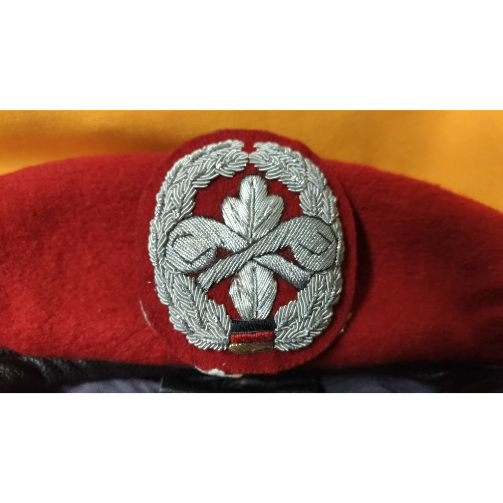 德軍公發 鐵絲製ABC核生化防護部隊貝雷帽徽