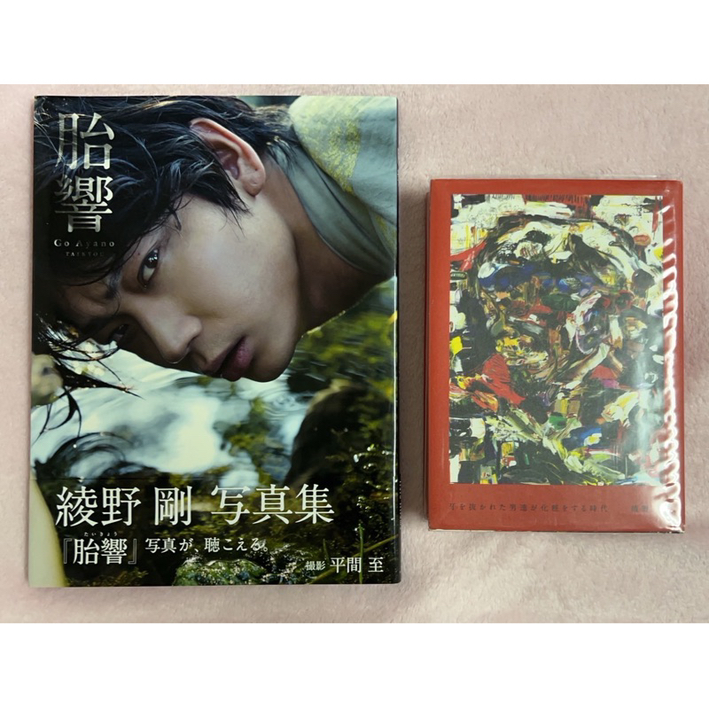 綾野剛胎響的價格推薦- 2025年4月| 比價比個夠BigGo
