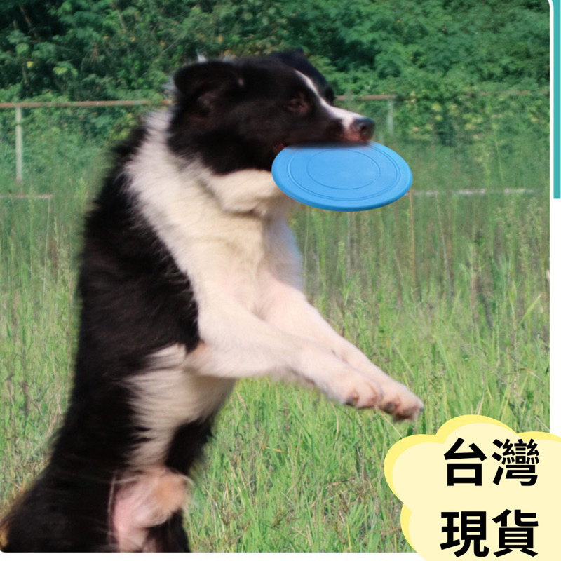 ［24小時出貨］寵物飛盤 寵物玩具 狗狗玩具 寵物軟飛盤 軟式飛盤 狗狗飛盤 矽膠飛盤 安全飛盤 寵物用品