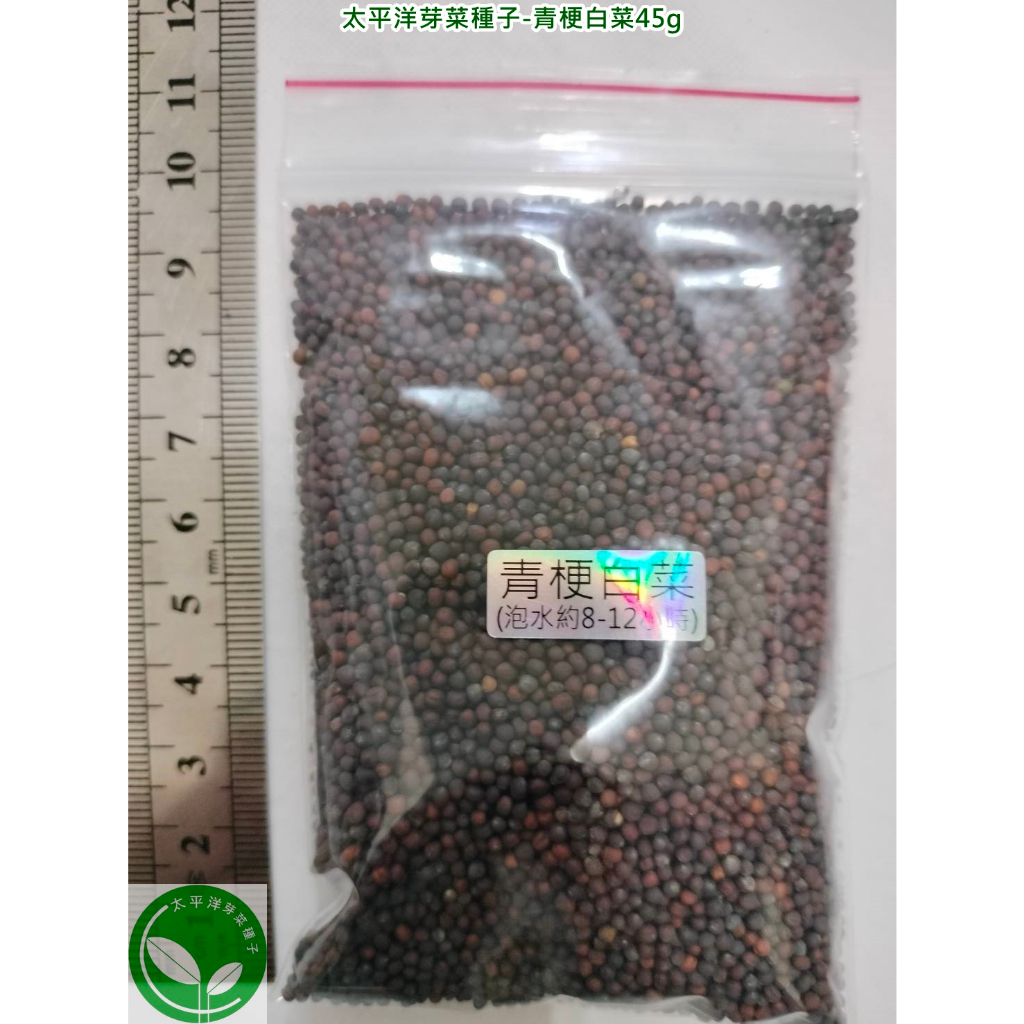 青梗白菜種子45g(青江菜)-日本-約9000顆-可水耕/土耕-85%以上高發芽率-芽菜種子/生菜種子/芽苗菜種子