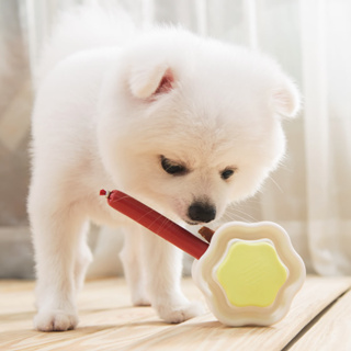 韓國YogiPet 與毛孩的美好生活小物｜抗菌99.9% 狗寶貝食物夾夾樂(檸檬綠)
