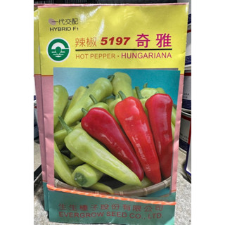 城禾農產🍃 翡翠椒種子 27粒 微辣 青蘋果辣椒 青蘋果辣椒種子 翡翠椒種子 微辣辣椒種子 辣椒種子