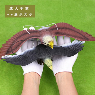 熱賣款仿真老鷹模型軟膠飛鳥猛禽大雕動物玩具兒童認知裝飾道具嚇鳥神器