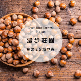 AU CAFÉ 鷗咖啡｜【淺中焙・白蜜處理 】哥斯大黎加 塔拉珠 漫步莊園 / 咖啡豆 / 手沖 / 精品咖啡自烘咖