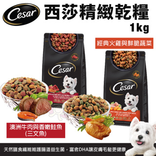 Cesar 西莎 精緻狗乾糧 1kg 火雞與蔬菜｜牛肉與鮭魚 犬糧 狗飼料『Chiui犬貓』
