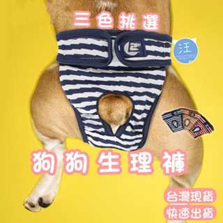 汪來咪😼 狗狗生理褲 寵物生理褲 條紋 生理褲 寵物內褲 狗狗尿布 母狗 寵物褲 狗狗褲 狗褲