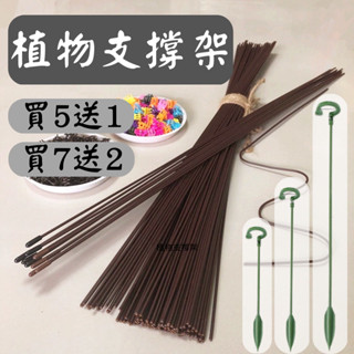 【臺灣現貨-免運】植物支架 植物支撐桿 植物支撐 鐵絲支撐棒 植物支撐架 園藝支架 盆栽支架 植物花架 龜背芋