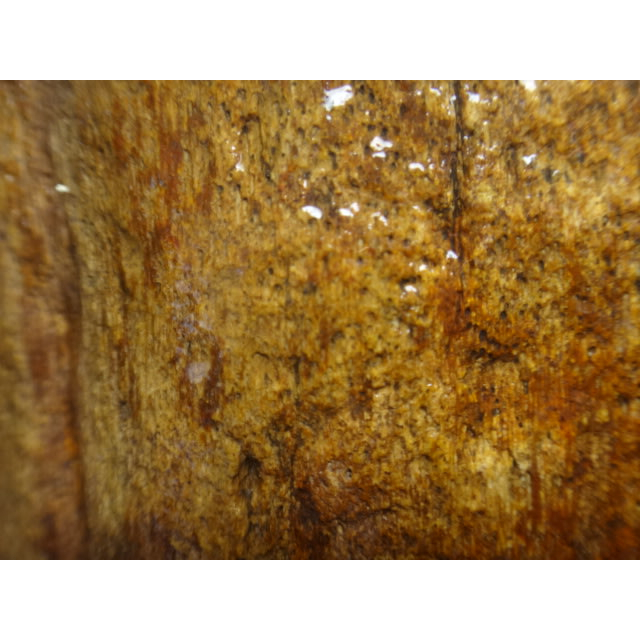 《藍金寶石玉石批發區》→〈原石系列〉→水洗黃皮層跟木頭一樣的圓柱狀木化玉原礦〈10.7公斤→Bz72